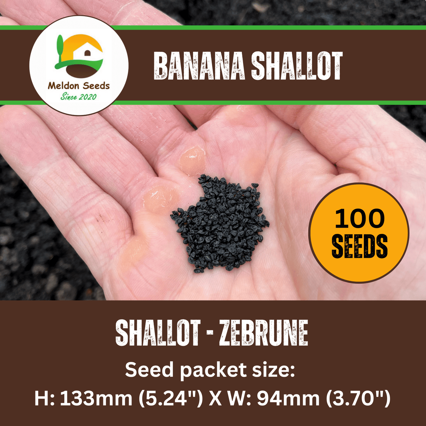 Shallot Seeds (Banana) Shallot Zebrune - 100 Fresh Onion Seeds for Planting UK - Chartley Chucks