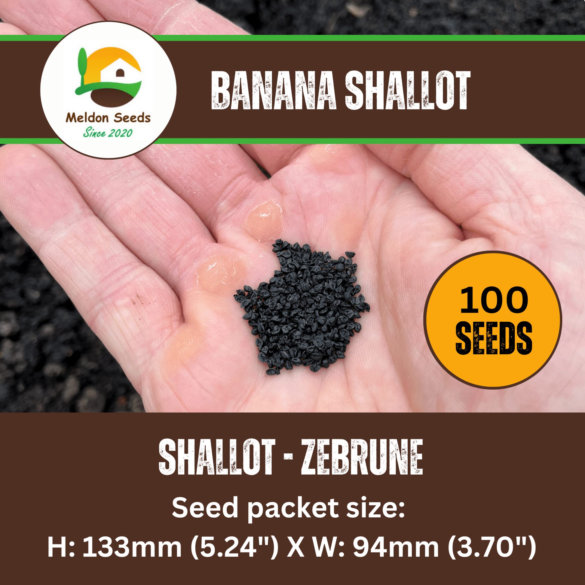 Shallot Seeds (Banana) Shallot Zebrune - 100 Fresh Onion Seeds for Planting UK - Chartley Chucks