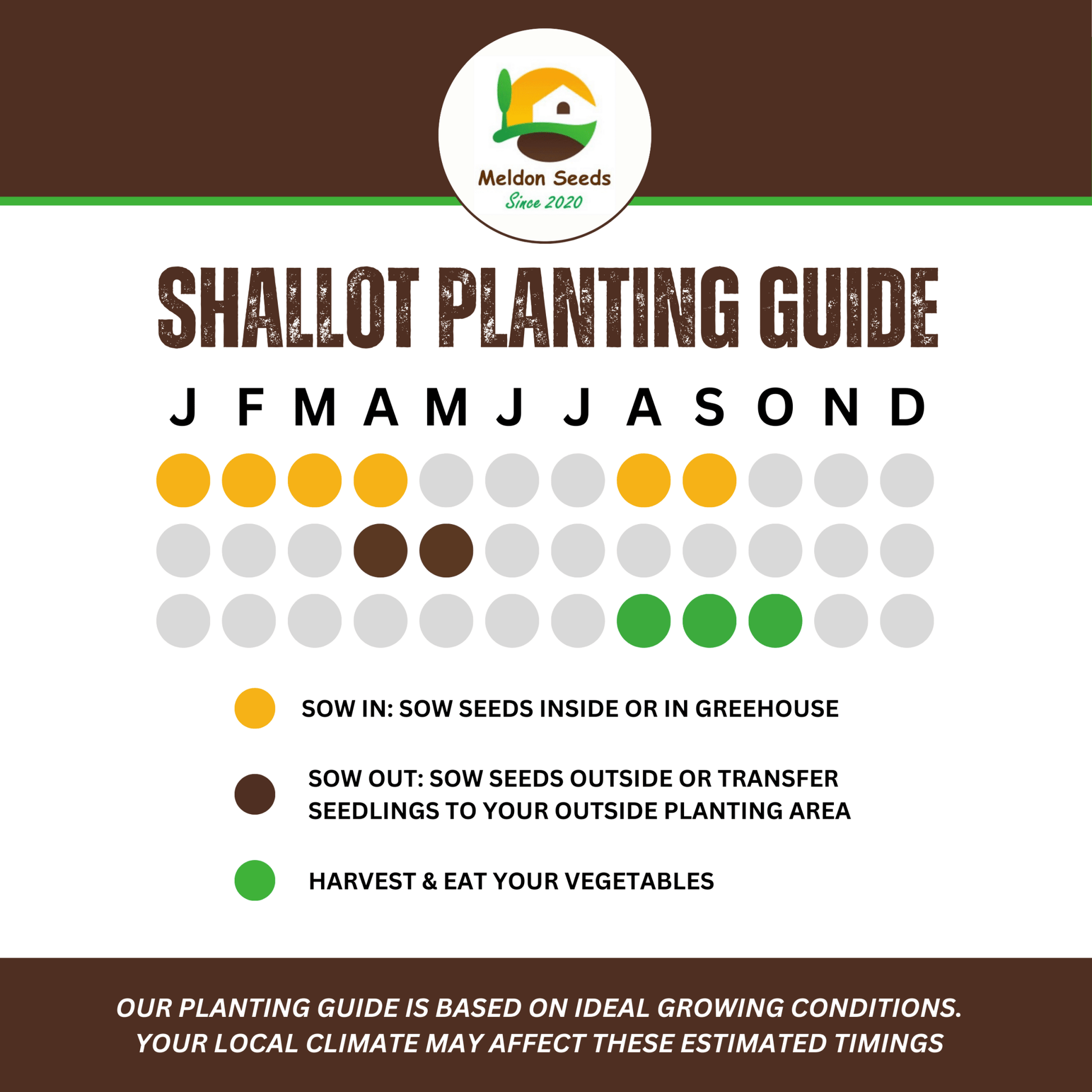 Shallot Seeds (Banana) Shallot Zebrune - 100 Fresh Onion Seeds for Planting UK - Chartley Chucks