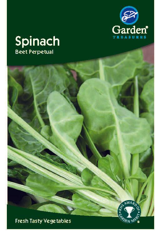 Spinach (Beet Perpetual) Seeds - Chartley Chucks