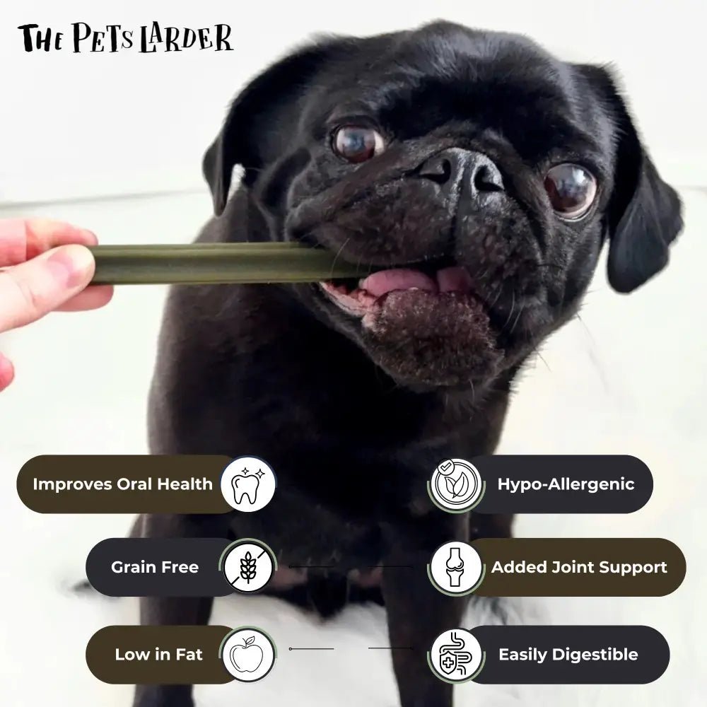 Spinach & Cranberry Chew Stick Vegetable Chew For Dogs - Chartley Chucks