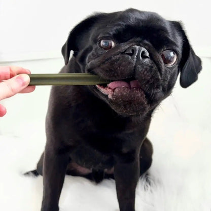 Spinach & Cranberry Chew Stick Vegetable Chew For Dogs - Chartley Chucks