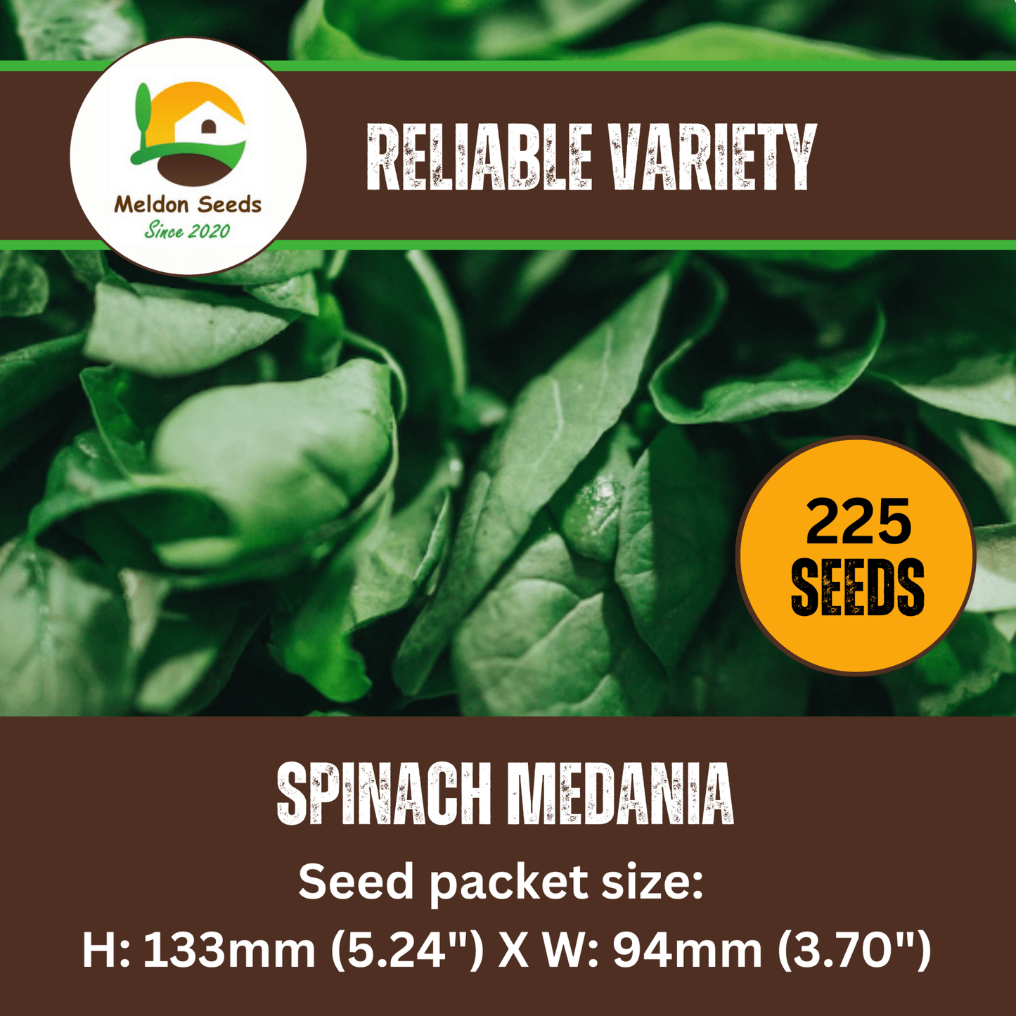 Spinach Medania 150 Seeds - Chartley Chucks