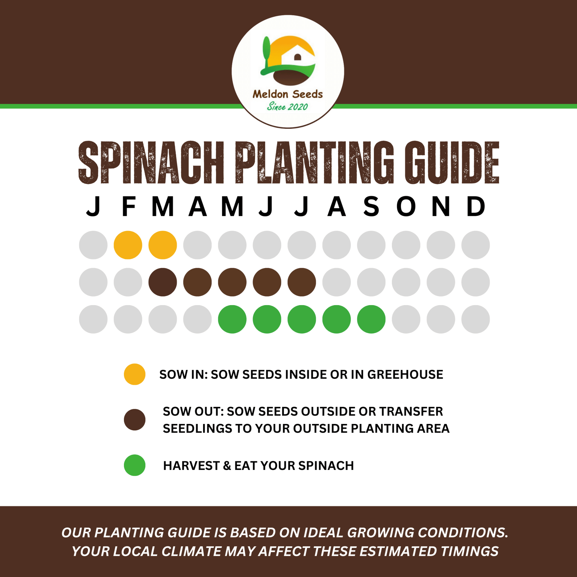 Spinach Medania 150 Seeds - Chartley Chucks