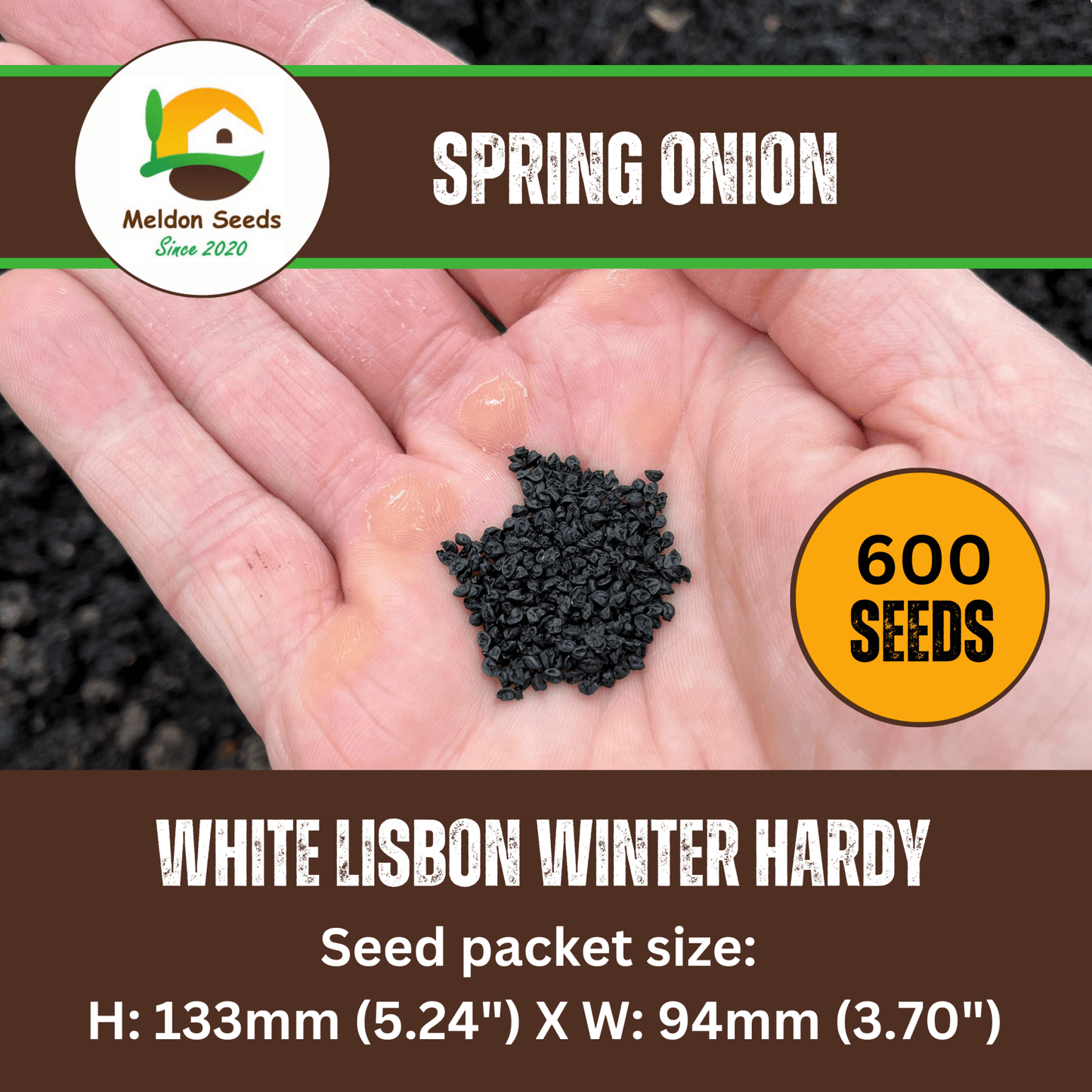 Spring Onion White Lisbon Winter Hardy 500 Seeds - Chartley Chucks