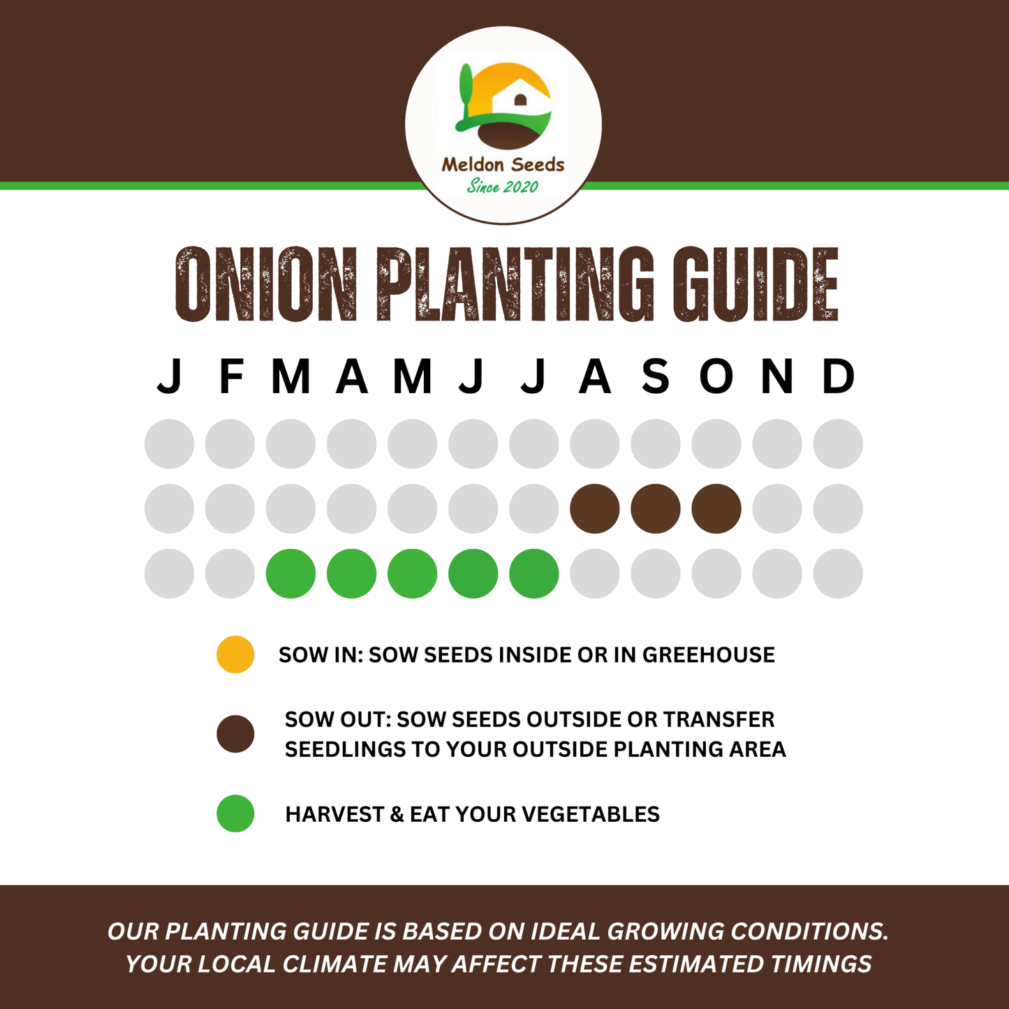 Spring Onion White Lisbon Winter Hardy 500 Seeds - Chartley Chucks