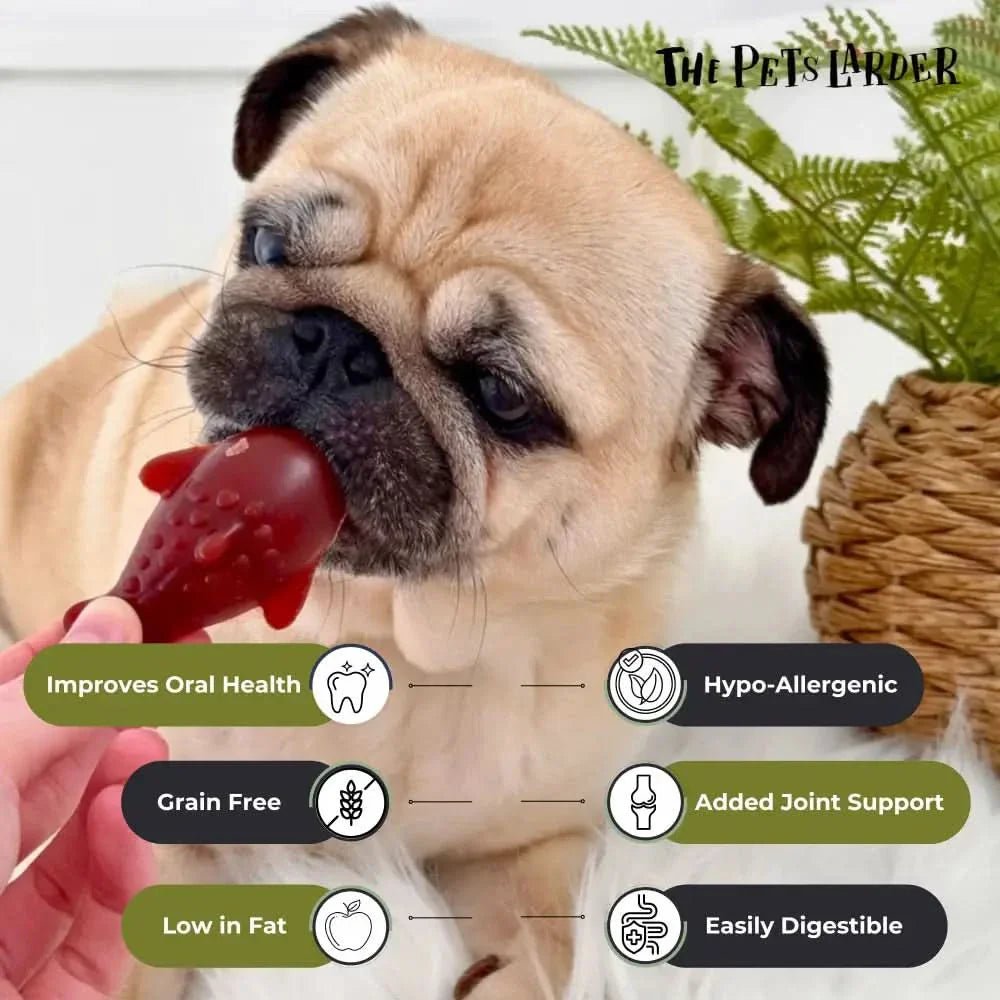 Strawberry & Banana Dolphin Vegetable Chew For Dogs - Chartley Chucks