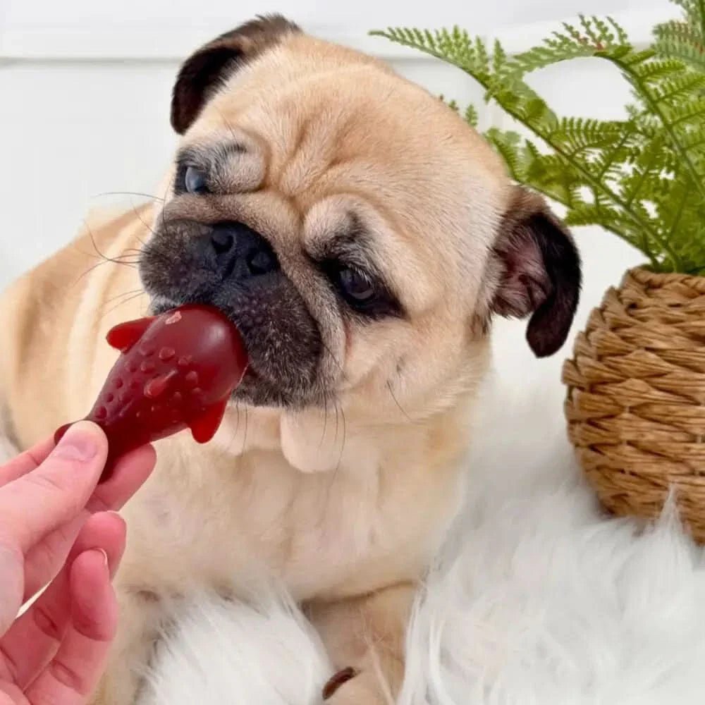 Strawberry & Banana Dolphin Vegetable Chew For Dogs - Chartley Chucks