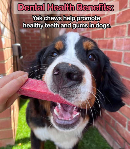 Strawberry Yak Dog Chew - Chartley Chucks