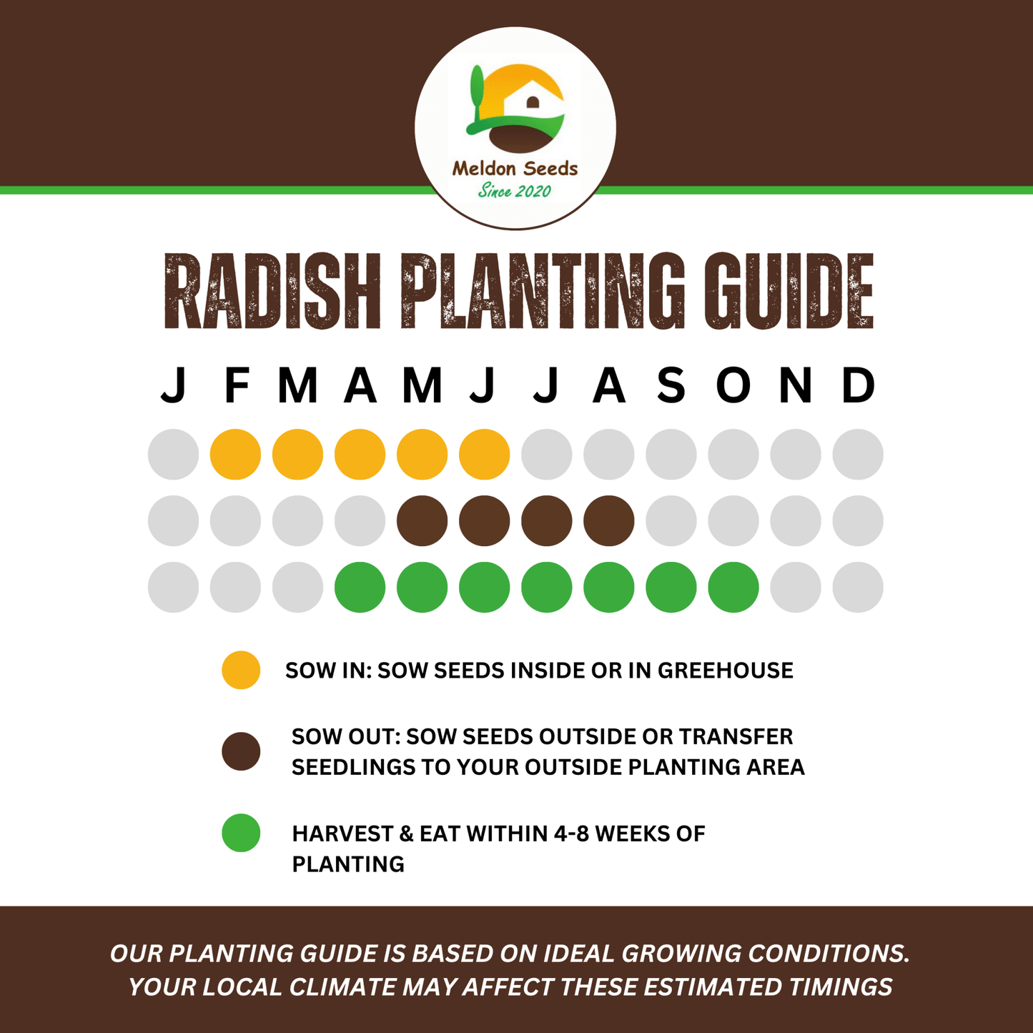 Summer Salad Vegetable Collection. 6 Easy to Grow Vegetable Varieties - Chartley Chucks