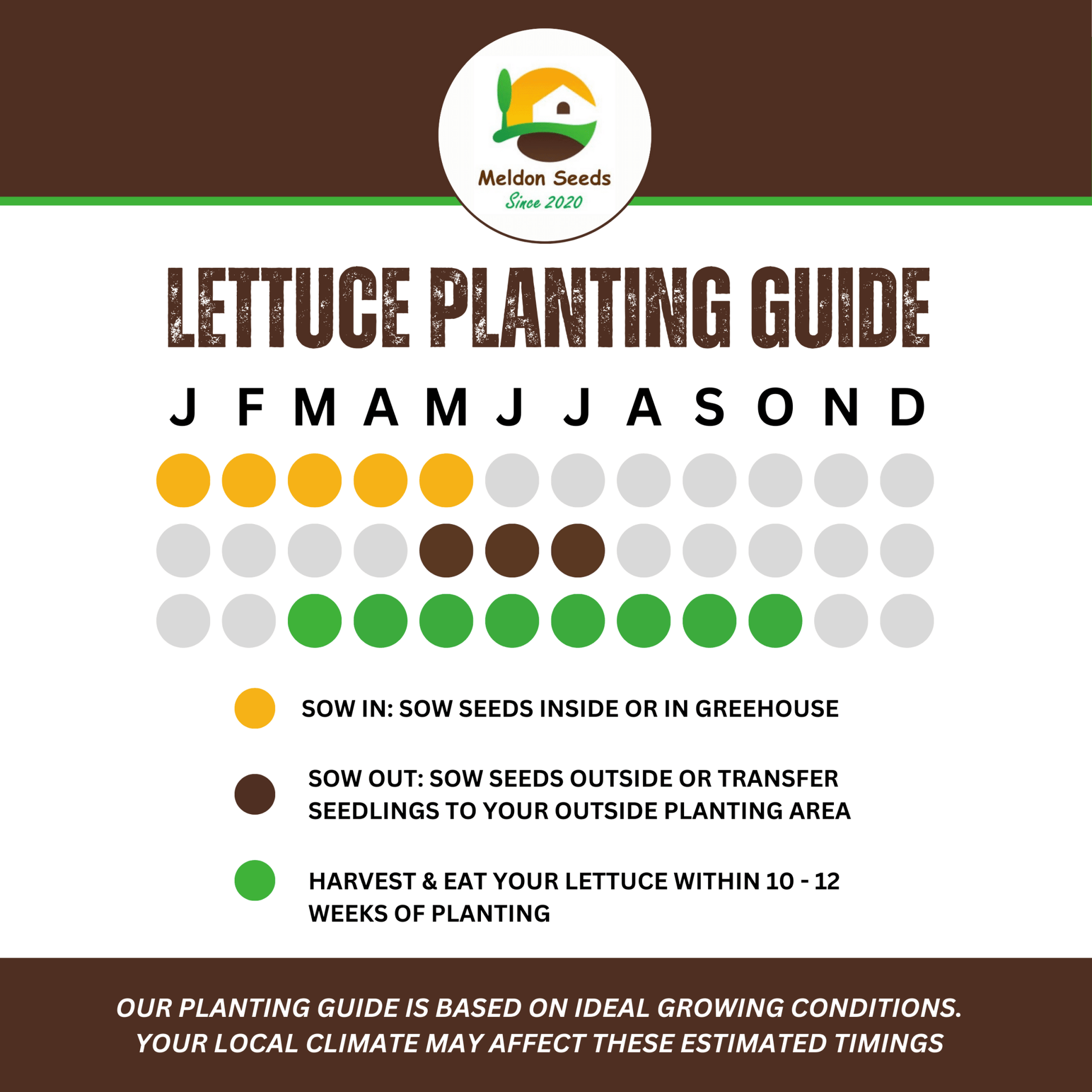 Summer Salad Vegetable Collection. 6 Easy to Grow Vegetable Varieties - Chartley Chucks