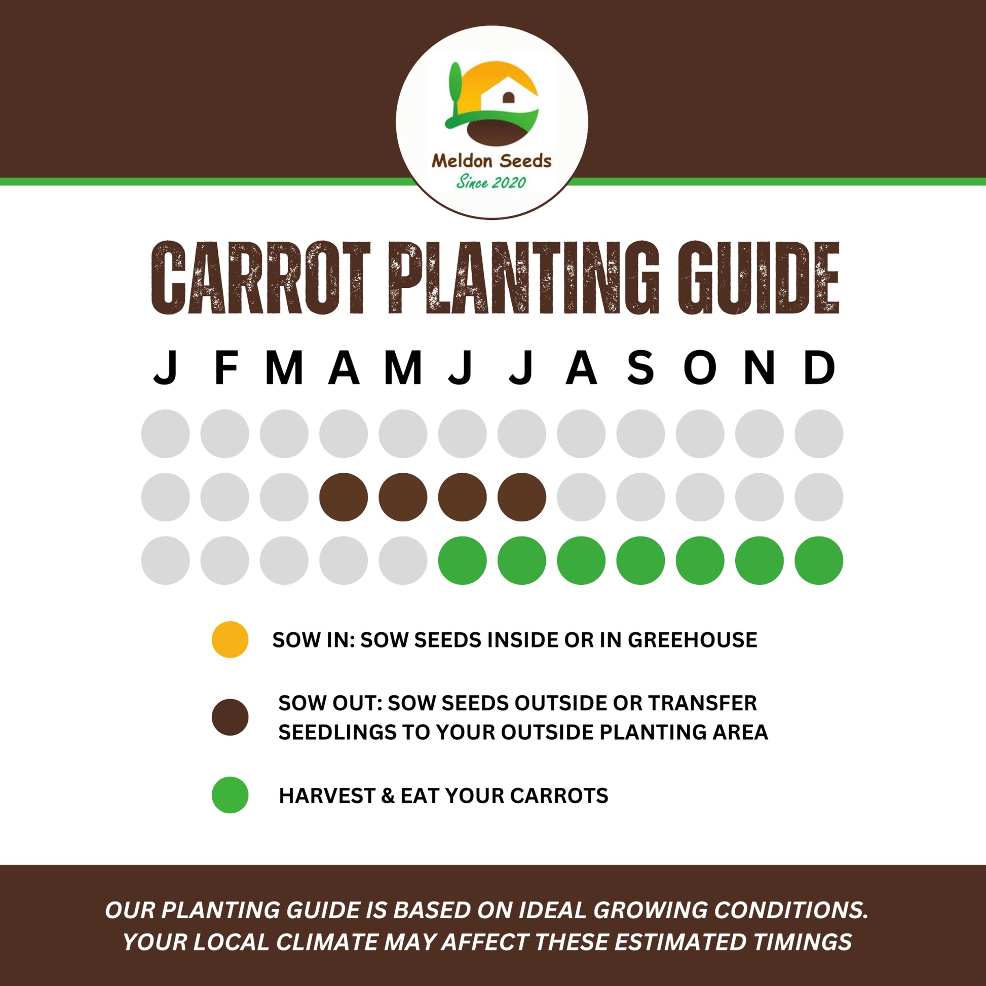 Summer Salad Vegetable Collection. 6 Easy to Grow Vegetable Varieties - Chartley Chucks