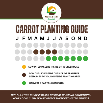 Summer Salad Vegetable Collection. 6 Easy to Grow Vegetable Varieties - Chartley Chucks