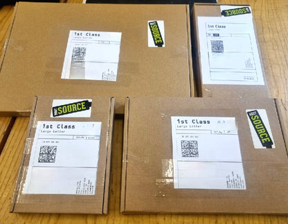 Sunflower Plug Plants 'Grow your Own' Flowers 'Ready to Plant now' Young Vegetable Plants 'Eco Friendly Packaging' **Letterbox Friendly** - Chartley Chucks