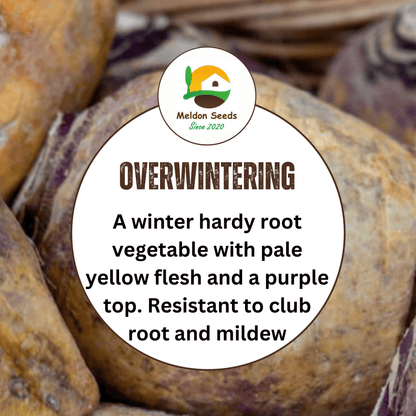 Swede Marian 250 Seeds - Chartley Chucks