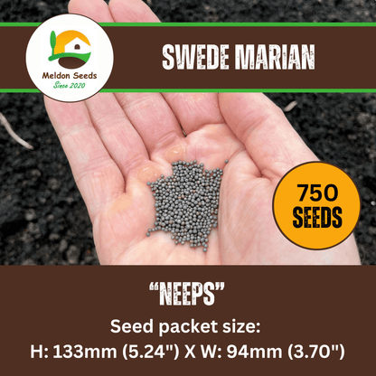 Swede Marian 250 Seeds - Chartley Chucks