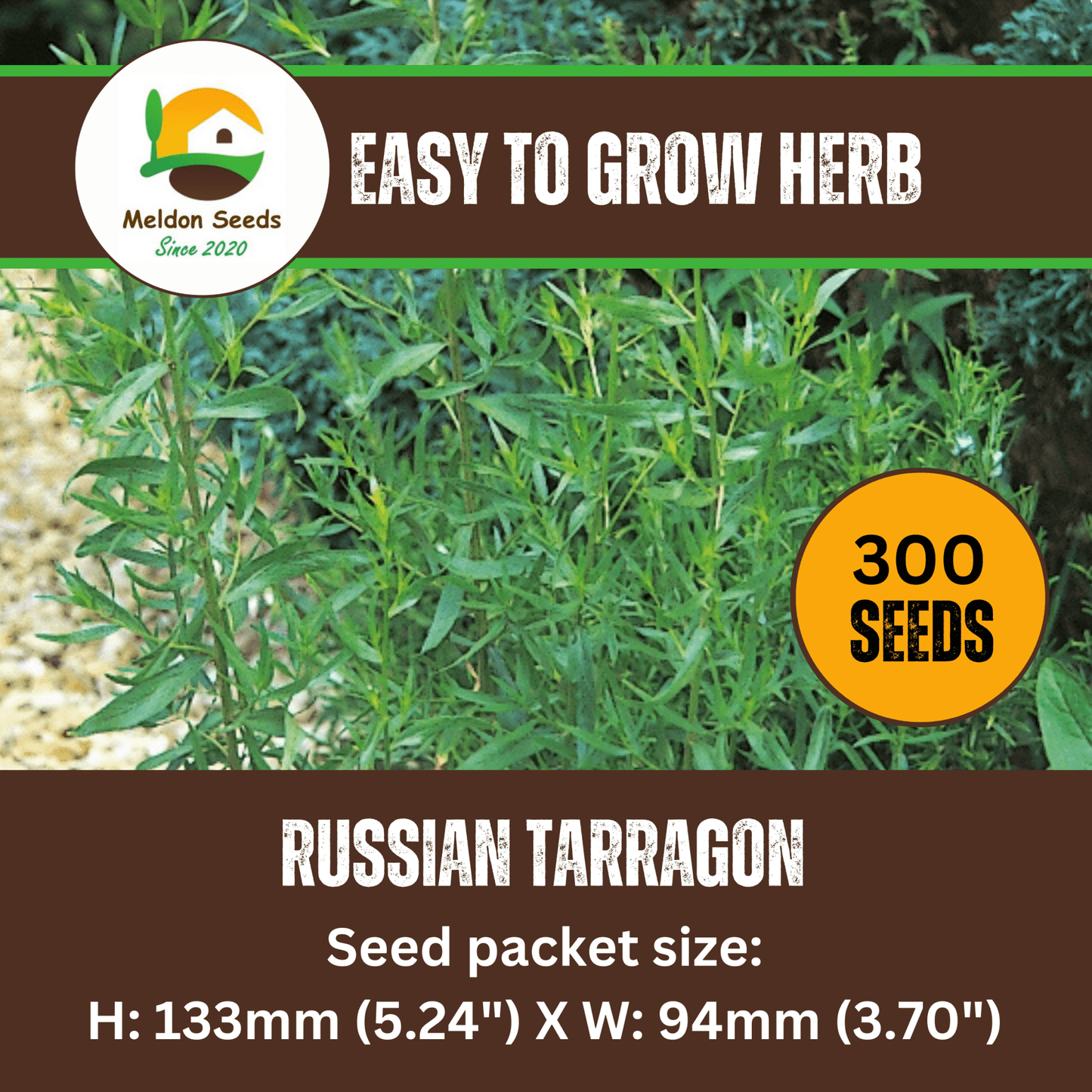 Tarragon Russian 300 Seeds - Chartley Chucks