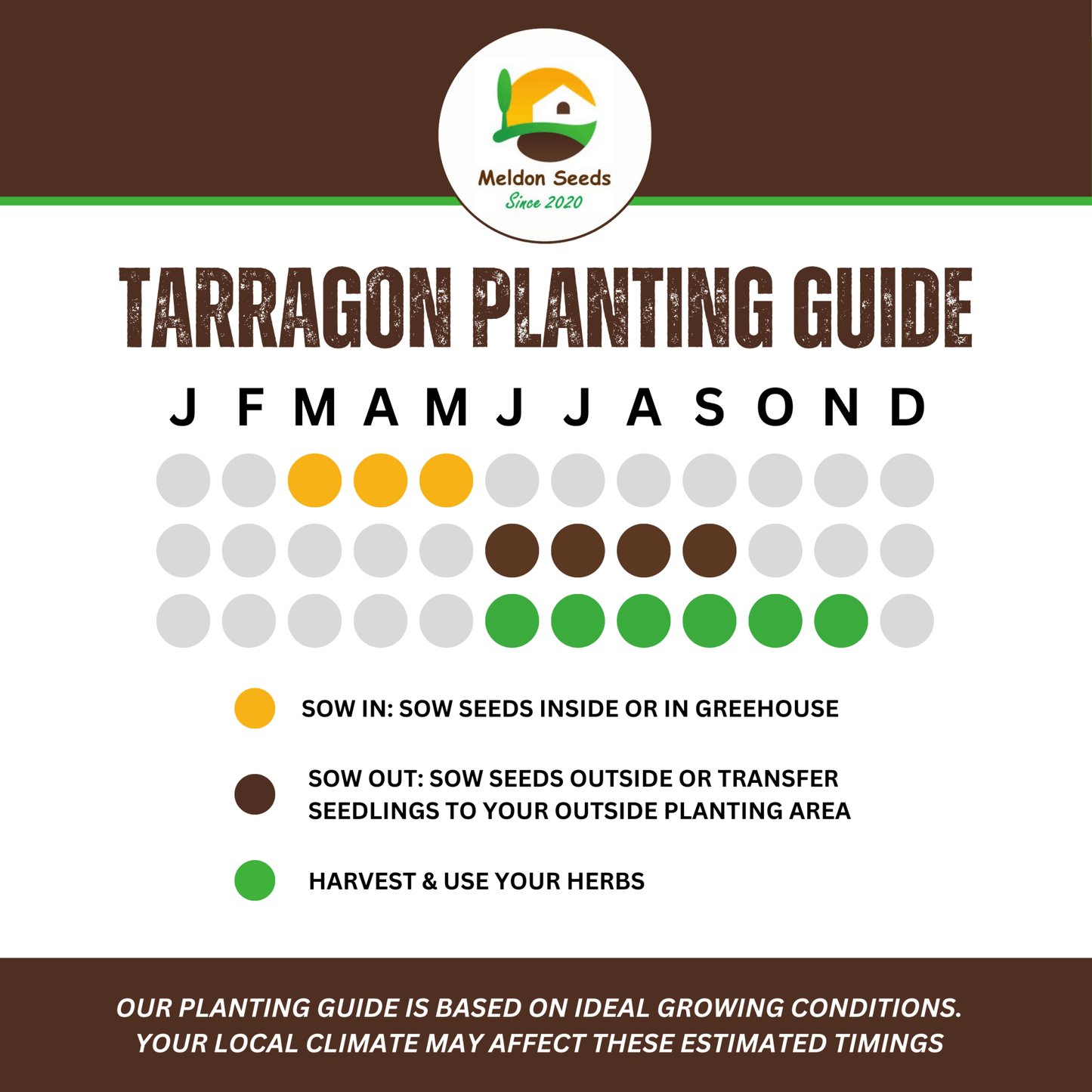 Tarragon Russian 300 Seeds - Chartley Chucks