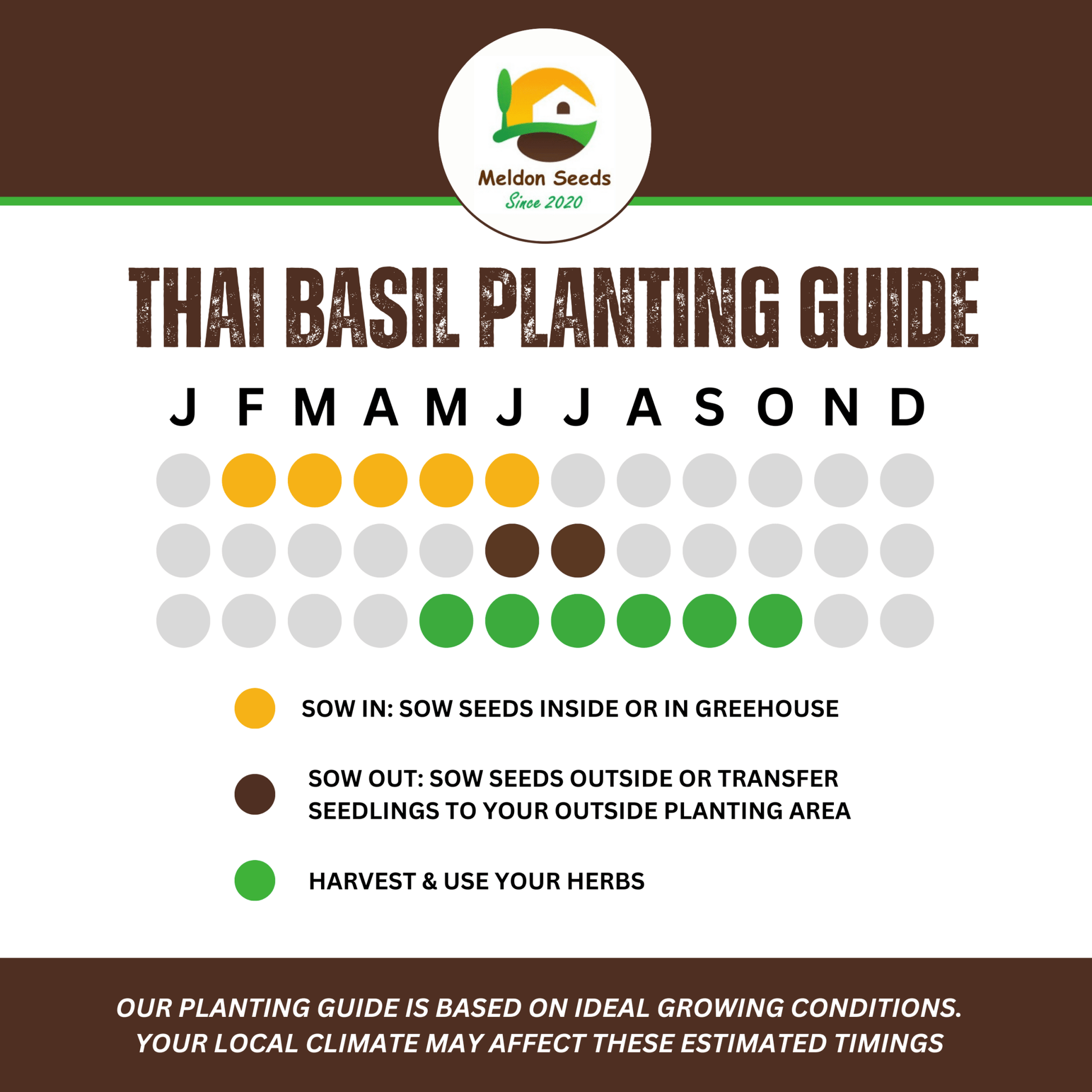 Thai Basil Seeds - 130 Fresh Siam Queen Basil Herb Seeds - Chartley Chucks
