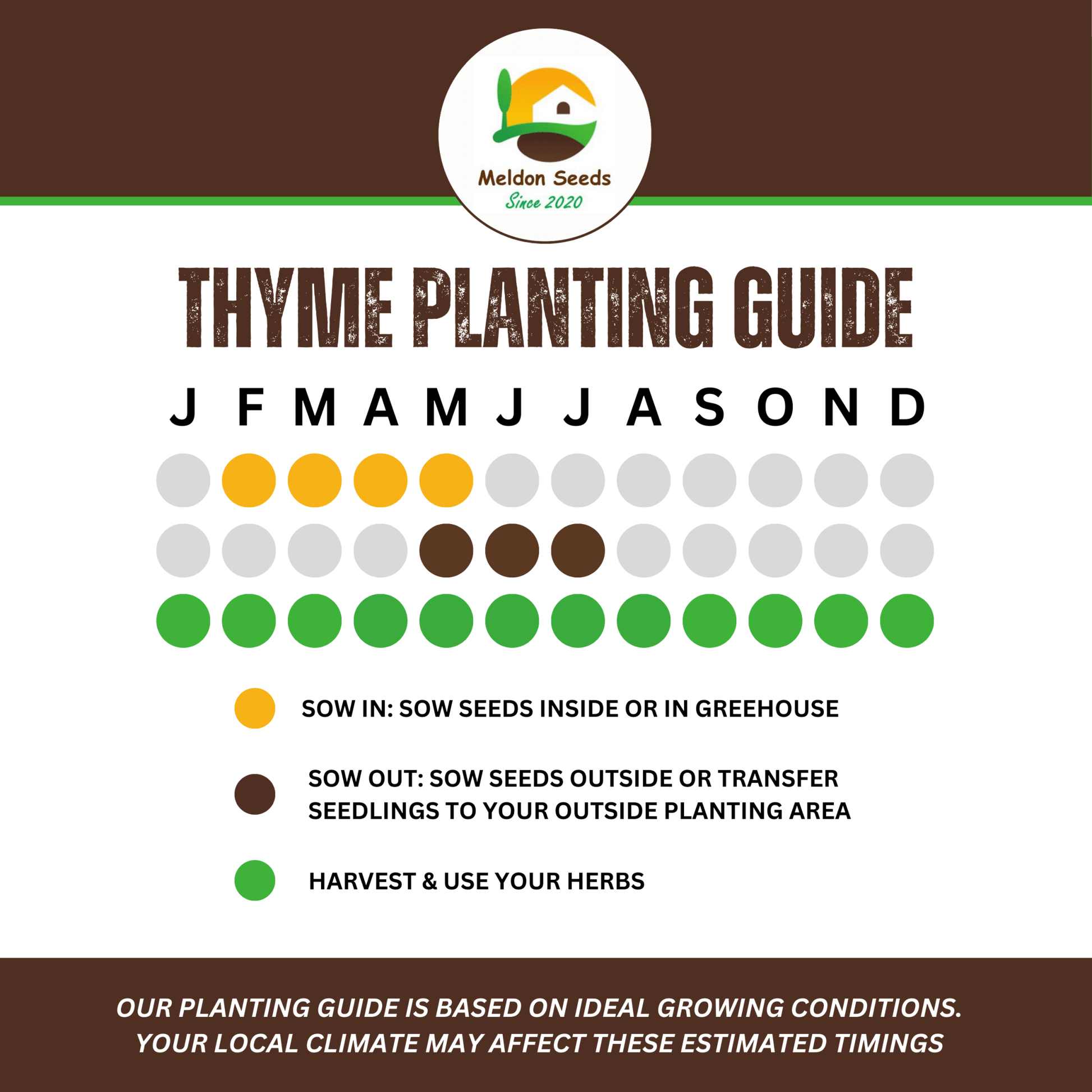 Thyme 450 Seeds - Chartley Chucks