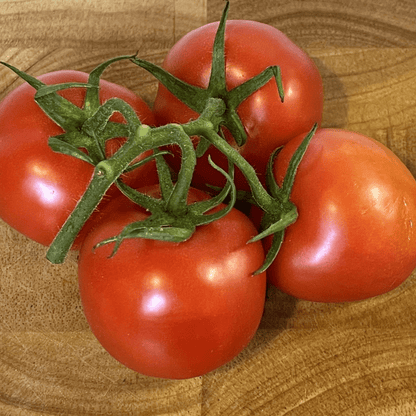 Tomato Ailsa Craig 30 Seeds - Chartley Chucks