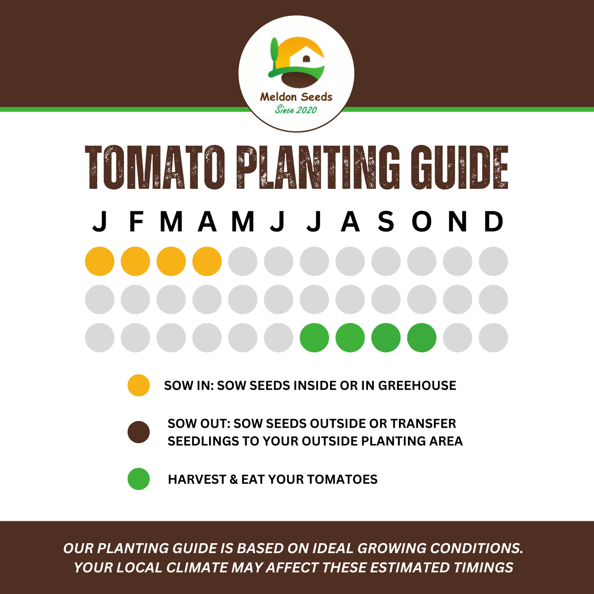Tomato Moneymaker 18 Seeds by Meldon Seeds - Chartley Chucks