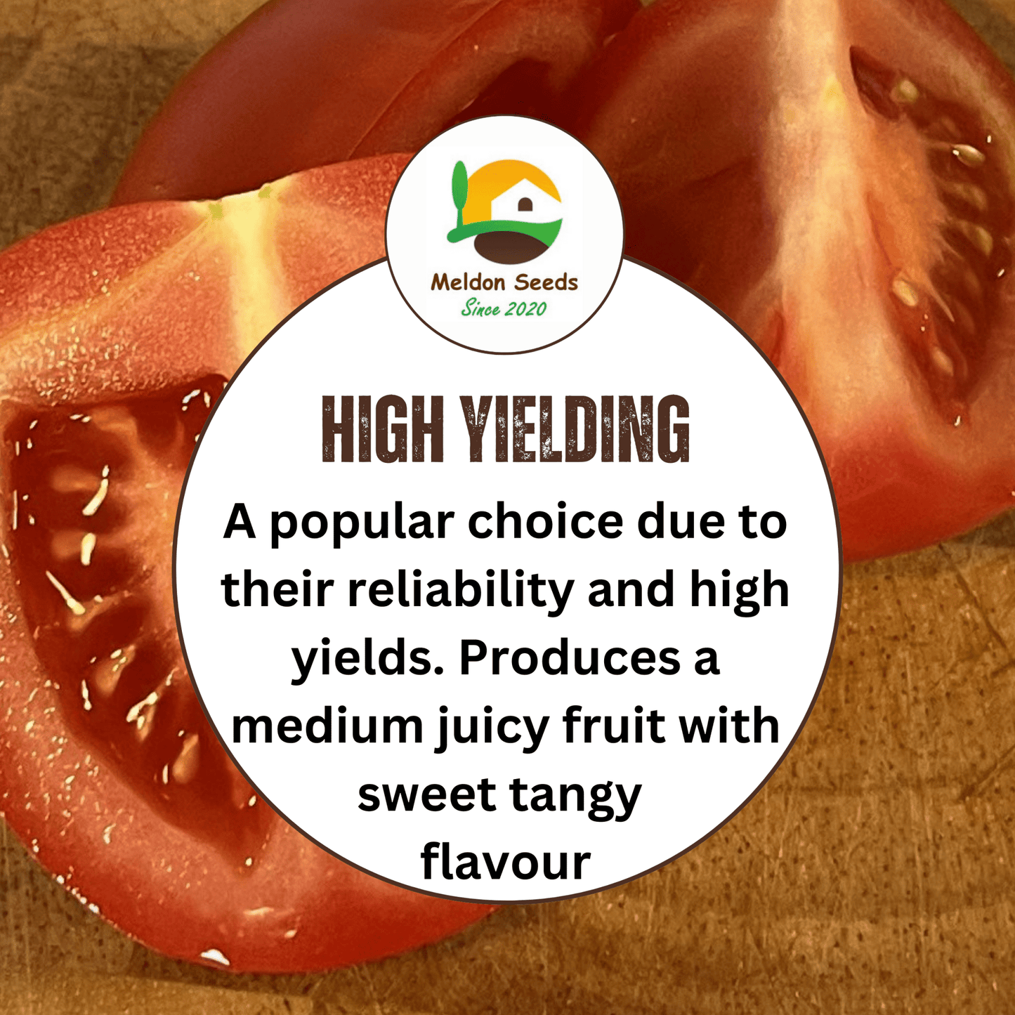 Tomato Moneymaker 18 Seeds by Meldon Seeds - Chartley Chucks