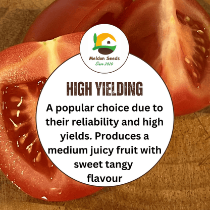 Tomato Moneymaker 18 Seeds by Meldon Seeds - Chartley Chucks