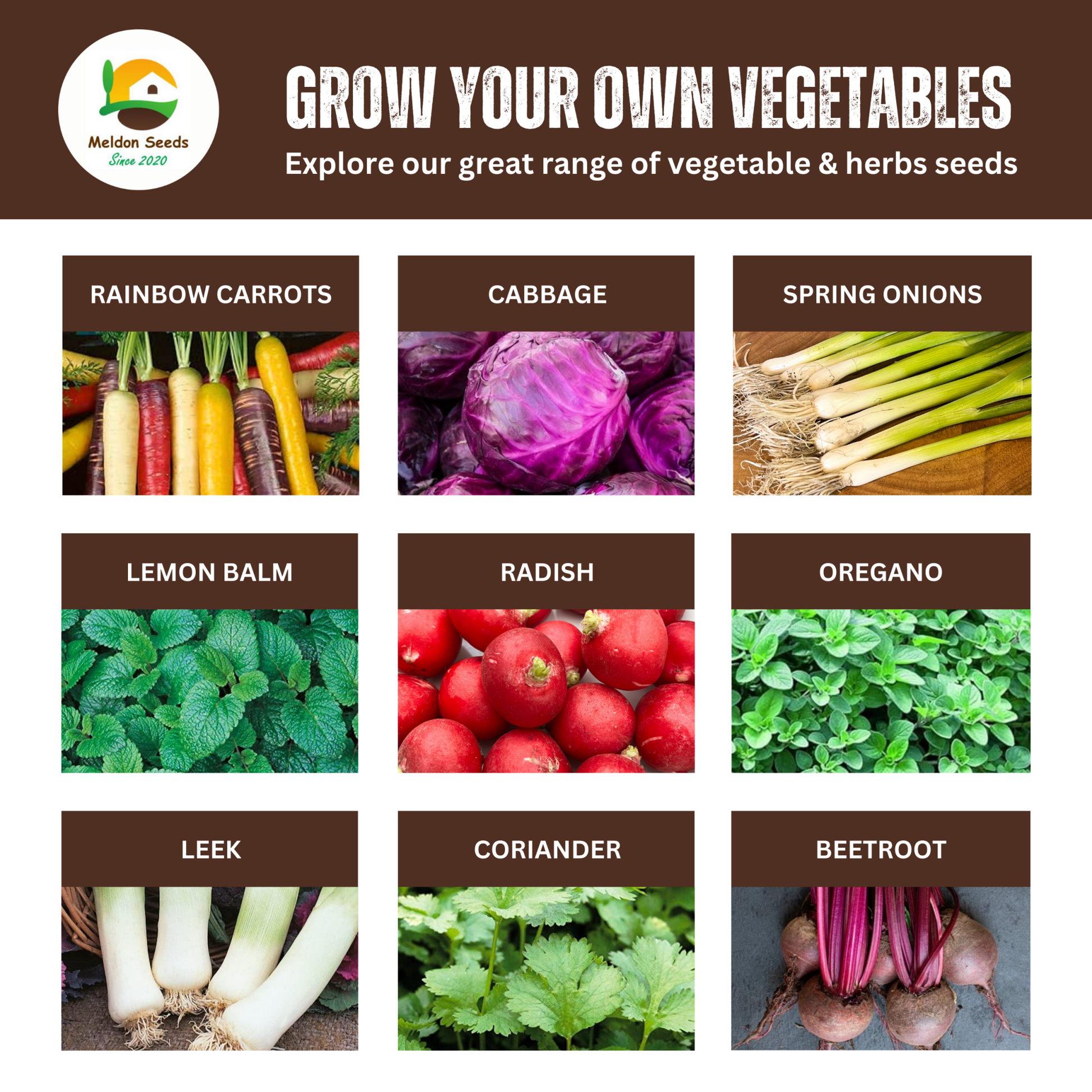 Tomato Moneymaker 18 Seeds by Meldon Seeds - Chartley Chucks