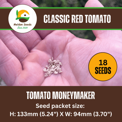 Tomato Moneymaker 18 Seeds by Meldon Seeds - Chartley Chucks