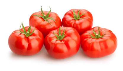 Tomato Plug Plants MIXED PACK "Grow Your Own" Fruit 'Ready to Plant Now' Young Vegetable Plants **Letterbox Friendly** - Chartley Chucks