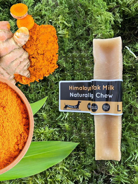 Turmeric Yak Dog Chew - Chartley Chucks