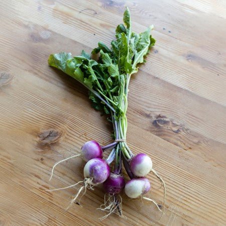 Turnip Plug Plants - "Grow Your Own" Vegetables **Letterbox Friendly** - Chartley Chucks