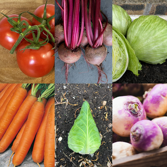 Vegetables Garden Starter Collection. 6 Easy to Grow Vegetable Varieties - Chartley Chucks