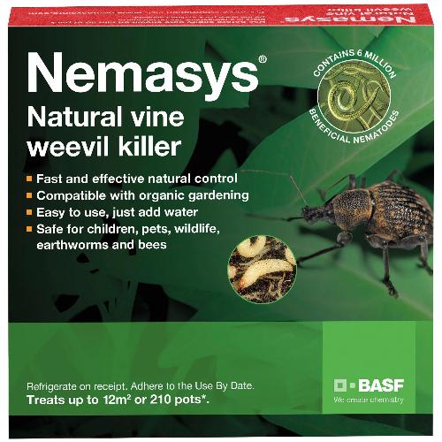 Vine Weevil Control - Nematodes - Chartley Chucks