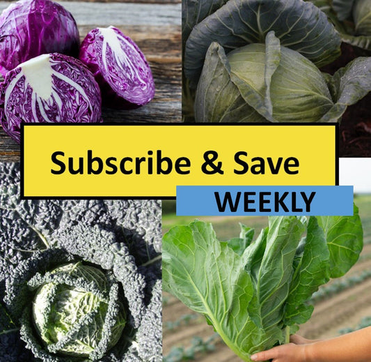 Weekly Subscription Box "Grow Your Own" Plug Plants Vegetables - Chartley Chucks