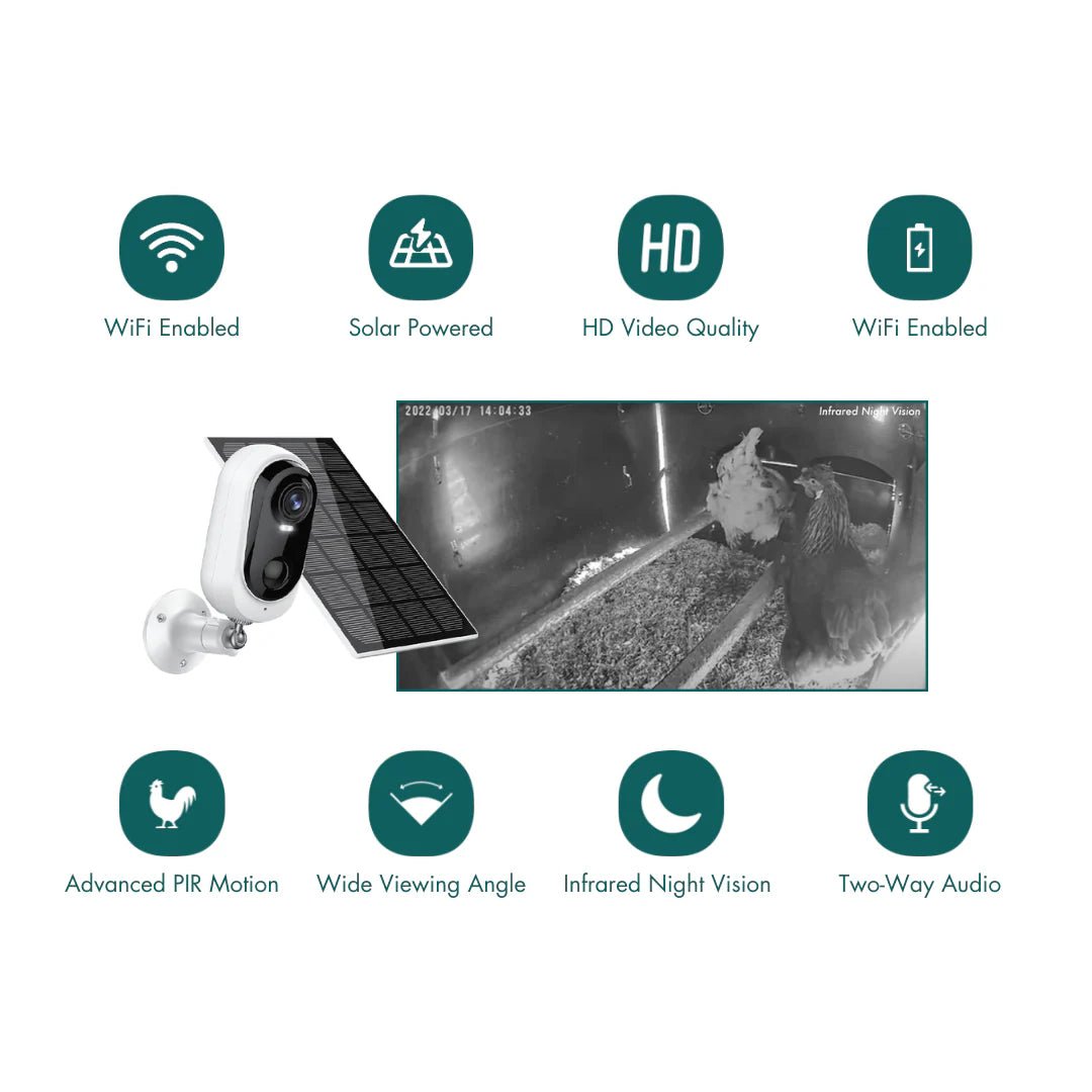 WiFi Chicken Coop Camera with Solar Panel - Chartley Chucks