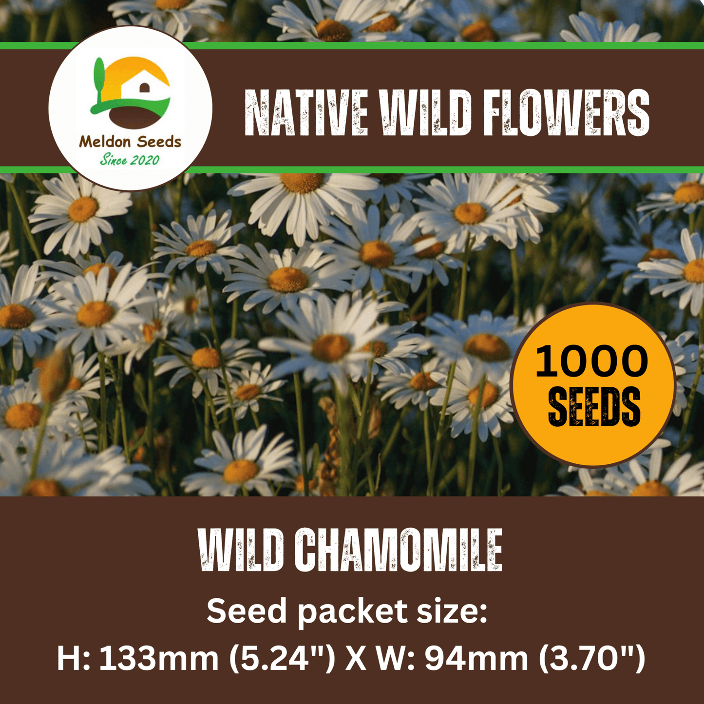 Wild Chamomile Seeds - 1000 Native UK Wild Flower Seeds for Attracting Birds, Bees, Wildlife, Pollinators, Suitable for Planting and Growing Outdoors in Meadows, Fields, Gardens and Borders - Packed in The UK by Meldon Seeds - Chartley Chucks