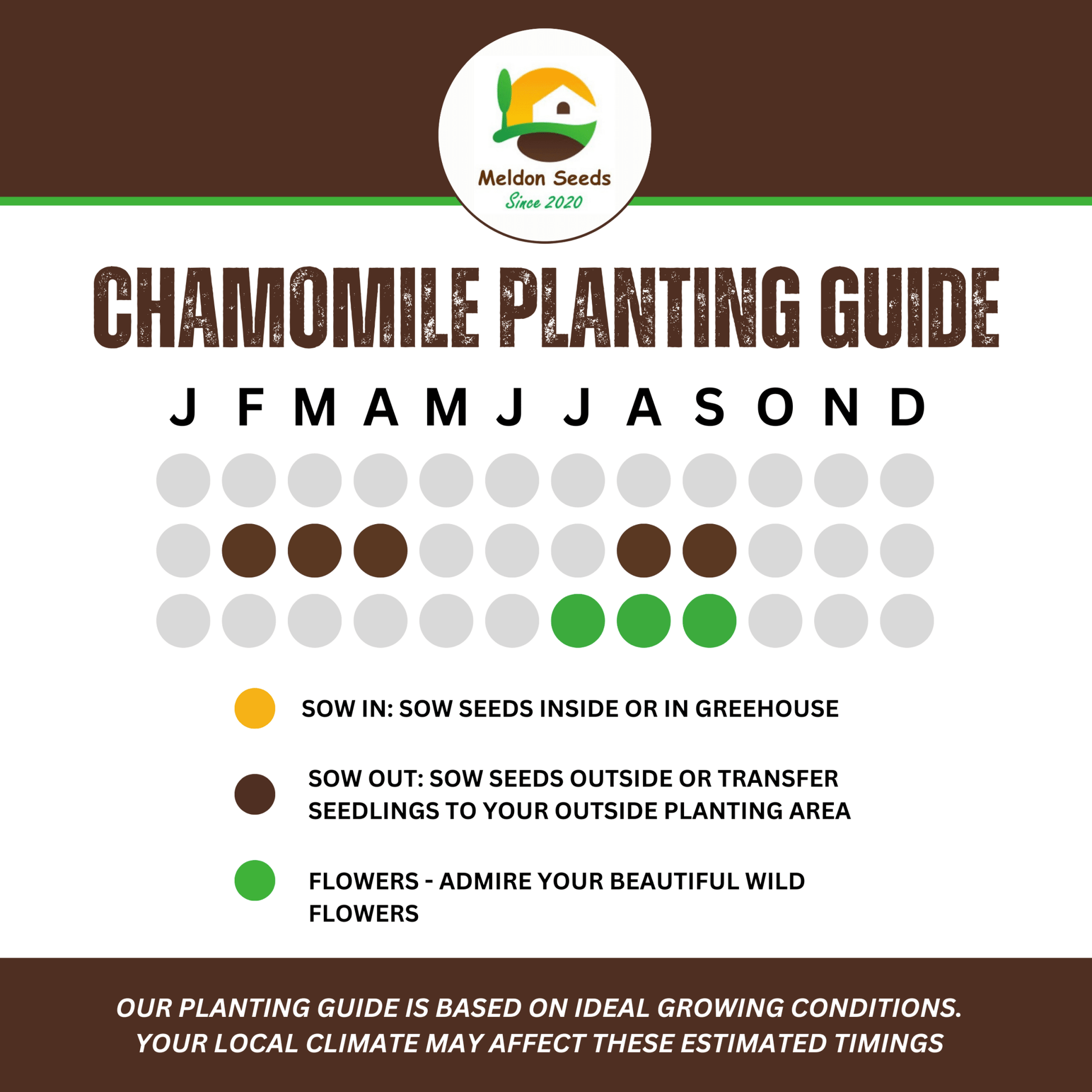 Wild Chamomile Seeds - 1000 Native UK Wild Flower Seeds for Attracting Birds, Bees, Wildlife, Pollinators, Suitable for Planting and Growing Outdoors in Meadows, Fields, Gardens and Borders - Packed in The UK by Meldon Seeds - Chartley Chucks