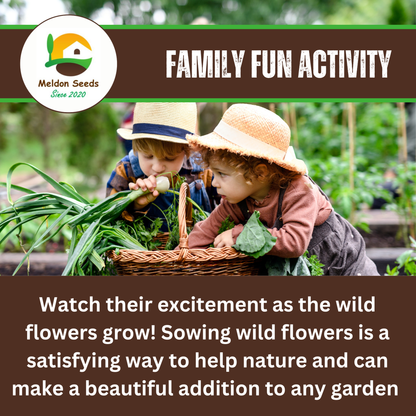 Wild Chamomile Seeds - 1000 Native UK Wild Flower Seeds for Attracting Birds, Bees, Wildlife, Pollinators, Suitable for Planting and Growing Outdoors in Meadows, Fields, Gardens and Borders - Packed in The UK by Meldon Seeds - Chartley Chucks