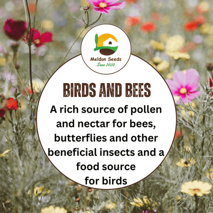 Wild Flowers Birds and Bees Mix 2.5g Seeds - Chartley Chucks