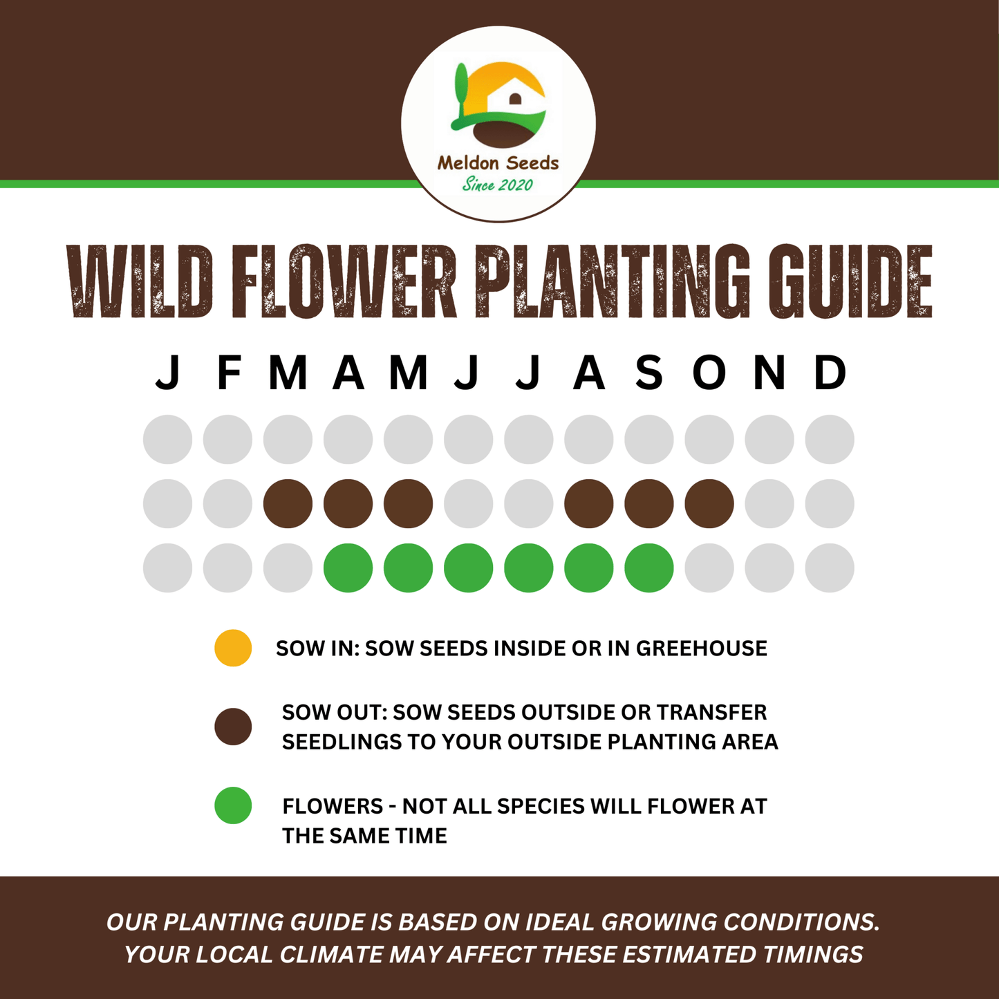 Wild Flowers Birds and Bees Mix 2.5g Seeds - Chartley Chucks