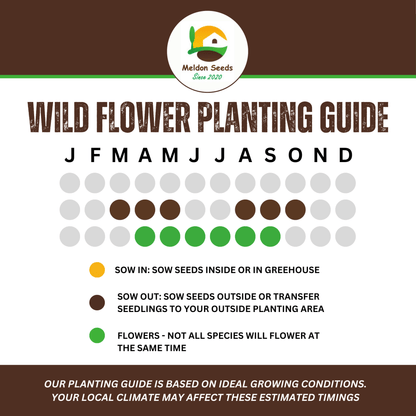 Wild Flowers Birds and Bees Mix 2.5g Seeds - Chartley Chucks