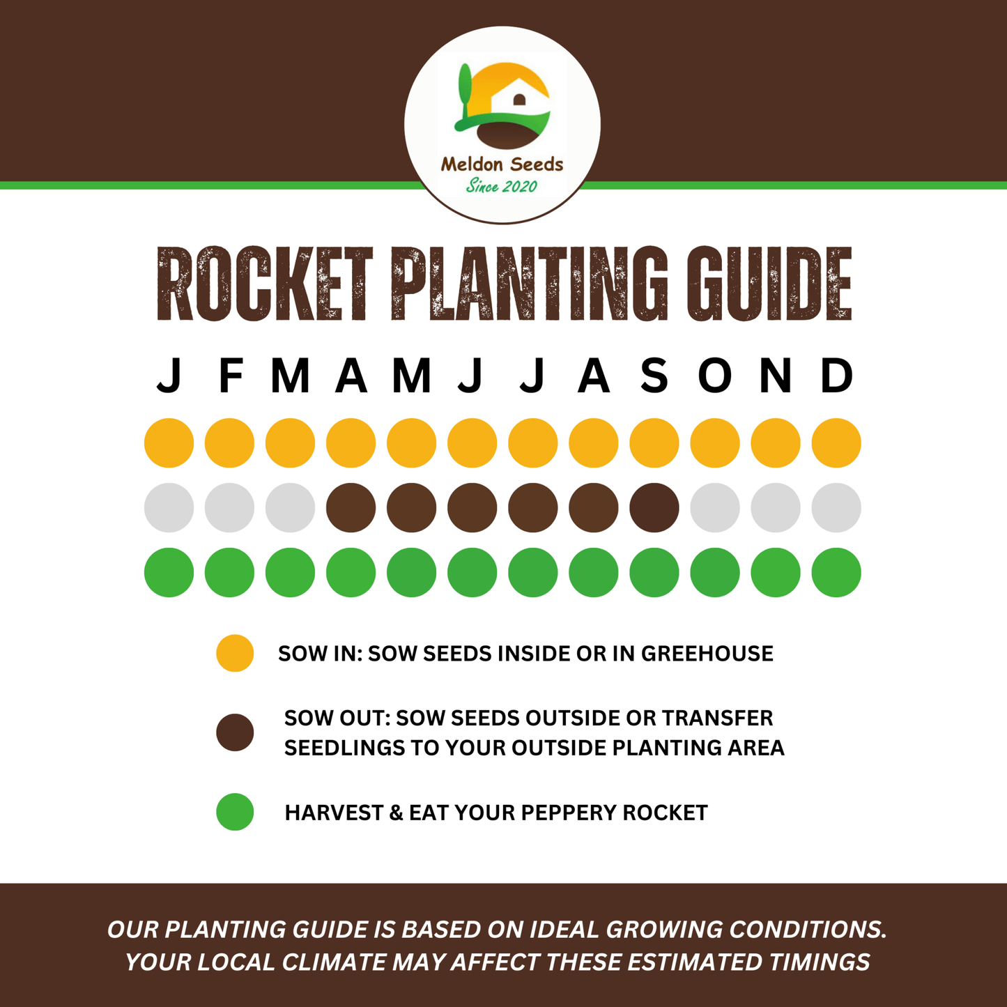 Wild Rocket 500 Seeds - Chartley Chucks