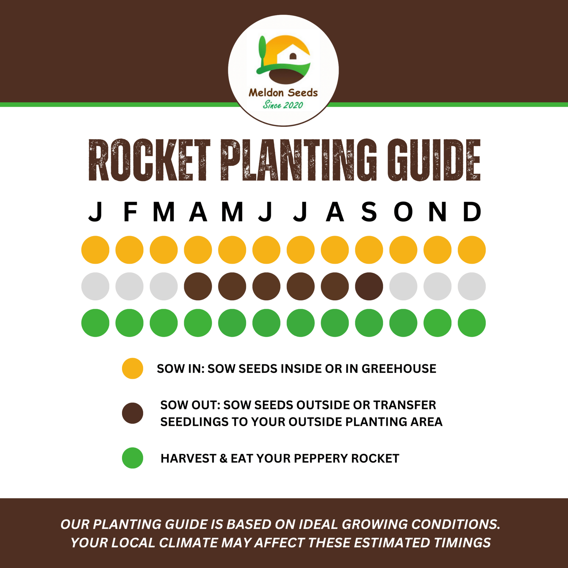 Wild Rocket 500 Seeds - Chartley Chucks