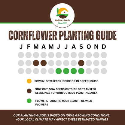 Wildlife Attracting Collection. 5 Native Wild Flower Varieties - Chartley Chucks