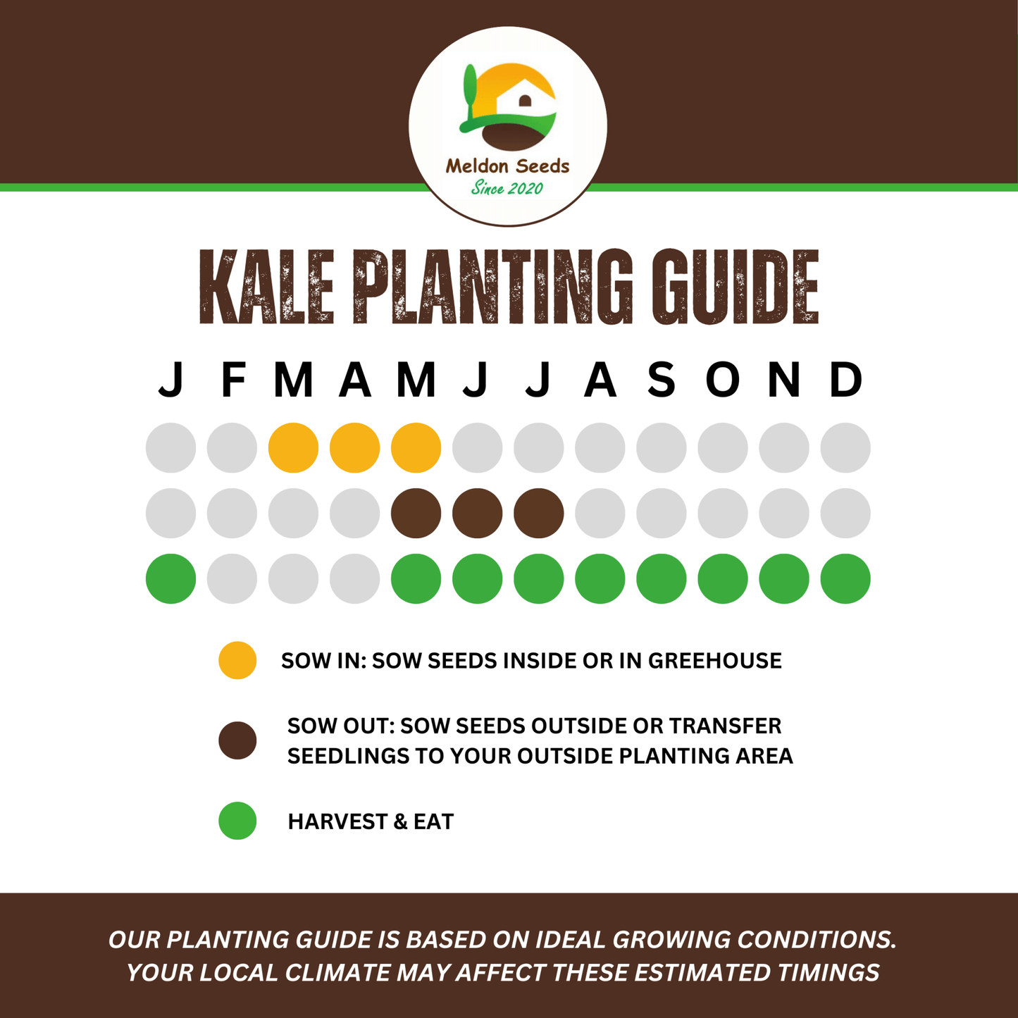 Winter Hardy Vegetable Collection. 6 Easy to Grow Hardy Vegetable Varieties - Chartley Chucks