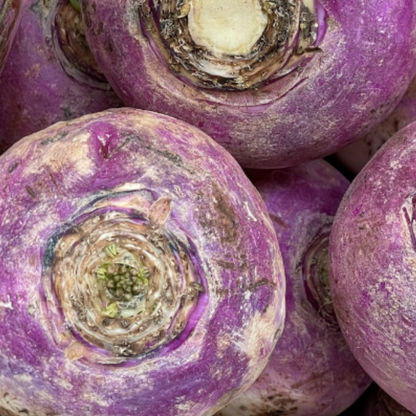 Winter Hardy Vegetable Collection. 6 Easy to Grow Hardy Vegetable Varieties - Chartley Chucks