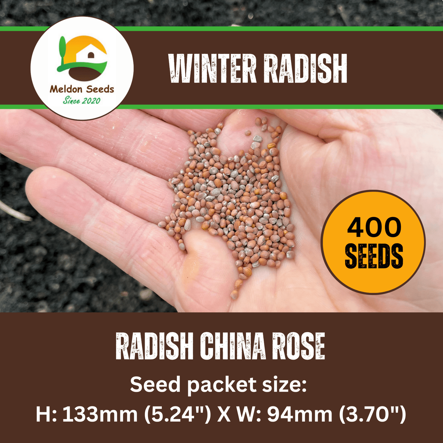 Winter Radish Seeds China Rose – 400 Fresh Radish Seeds Grow Indoors Outdoors UK - Chartley Chucks