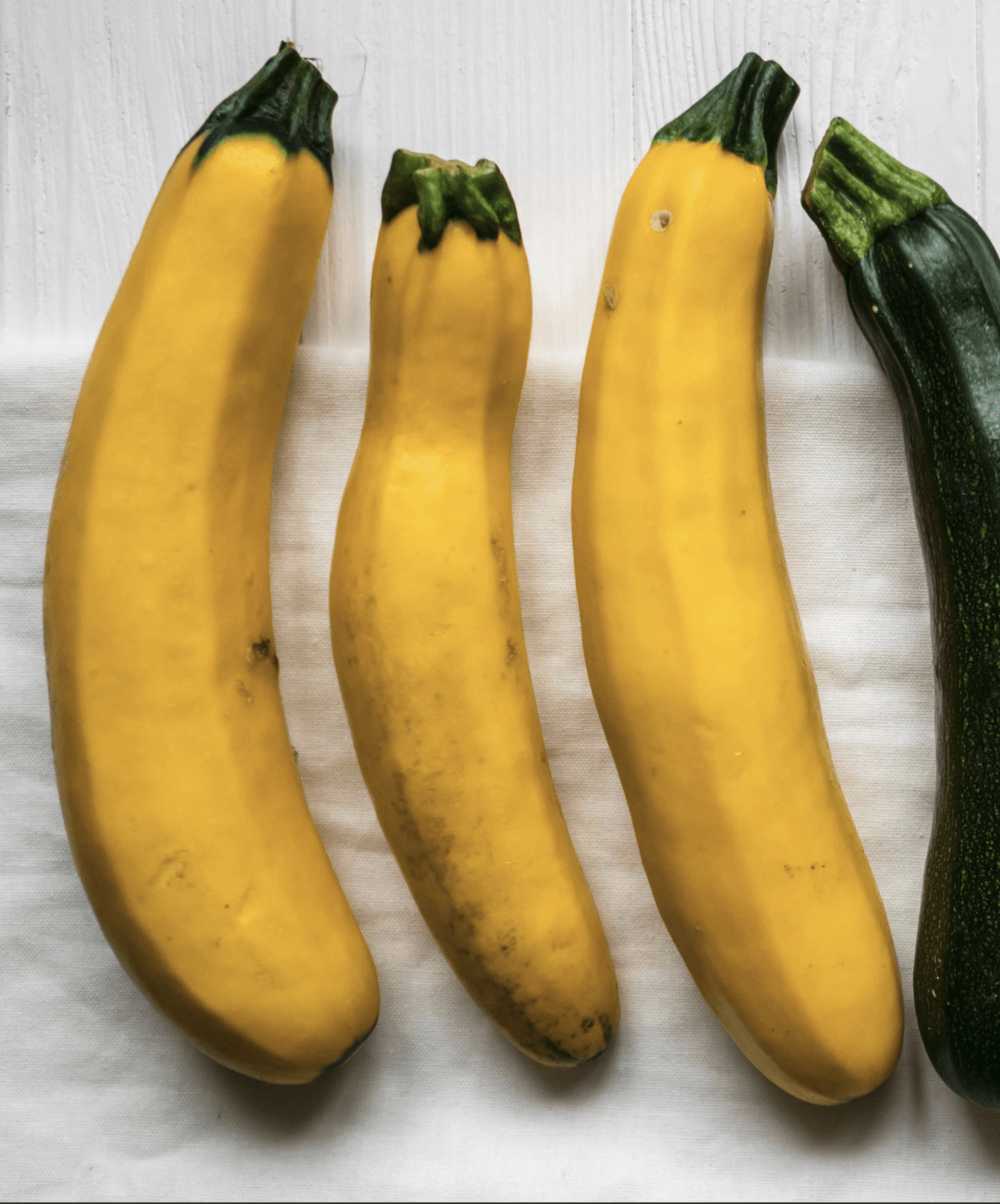 Yellow Courgette Plug Plants "Grow Your Own" Fruit 'Ready to Plant Now' Young Vegetable Plants **Letterbox Friendly** - Chartley Chucks